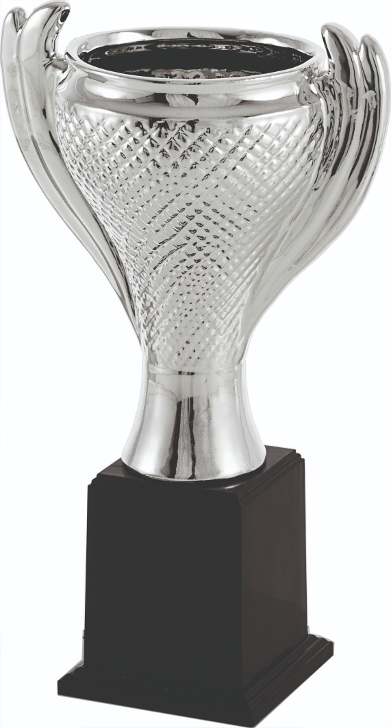 Trofeos en Castellet i la Gornal