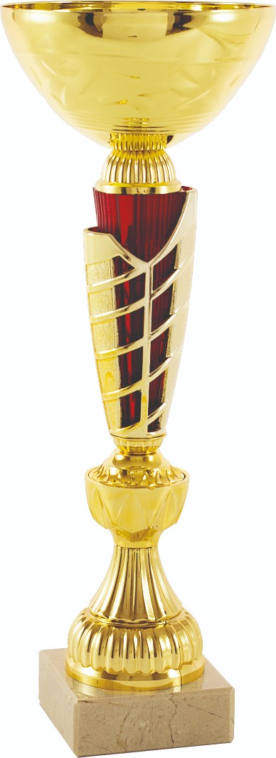 Trofeos en Sant Agustí de Lluçanès