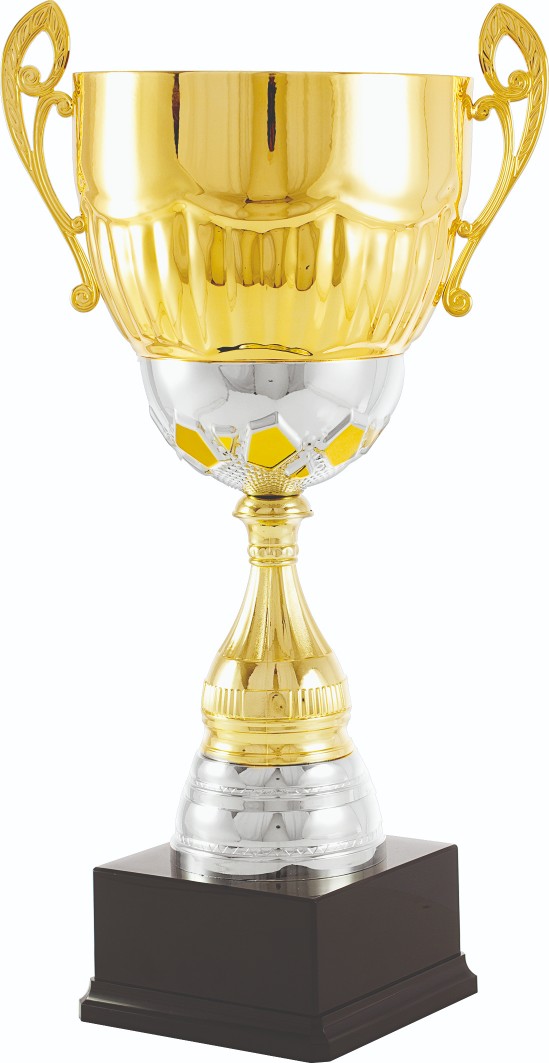 Trofeos en Barberà del Vallès